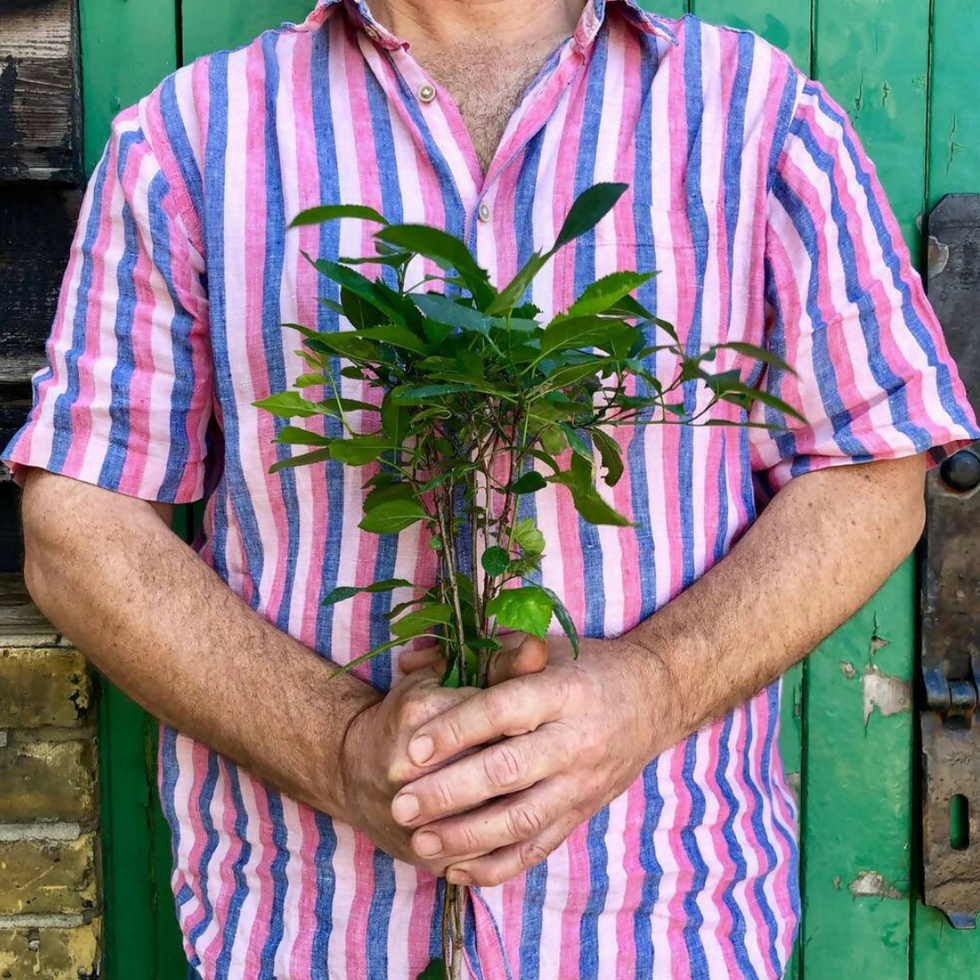 Cherry Plum Garden Gift Box