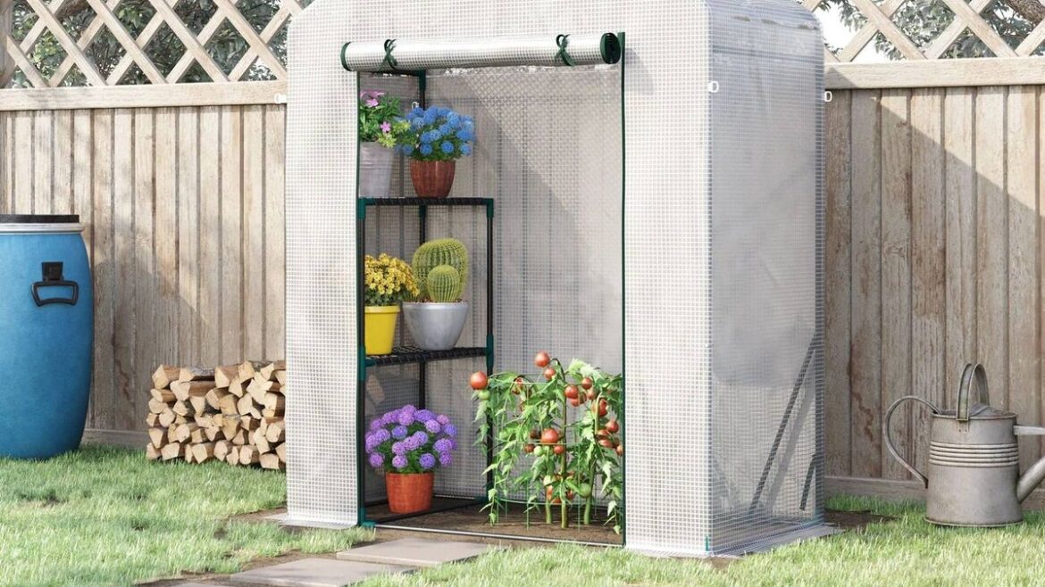 Gardener praises £25 portable greenhouse after growing ‘lots of tomatoes and peppers’ Devon Live