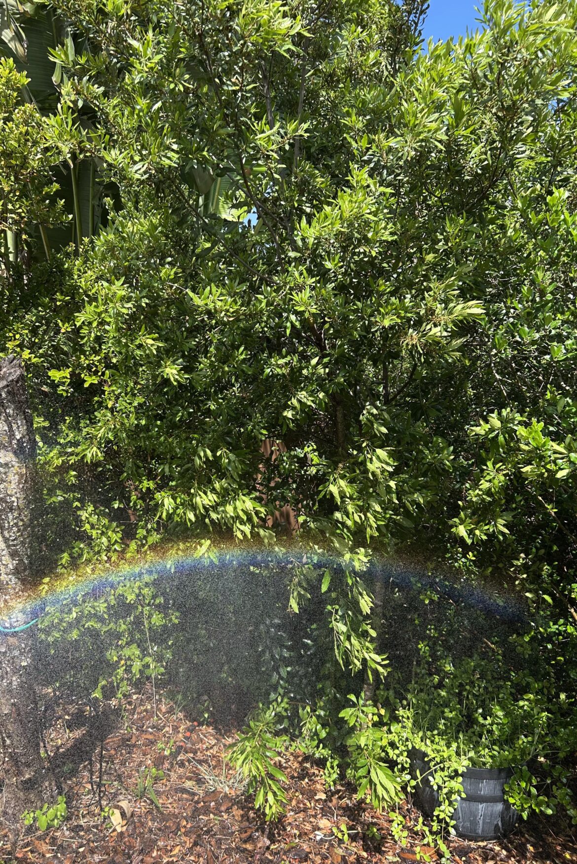 🍀I found the Pot of Gold!