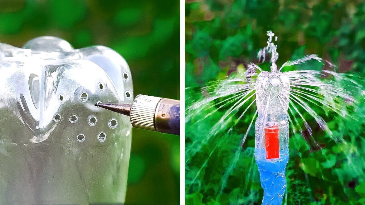Inventive Plant Growing Techniques for any Garden