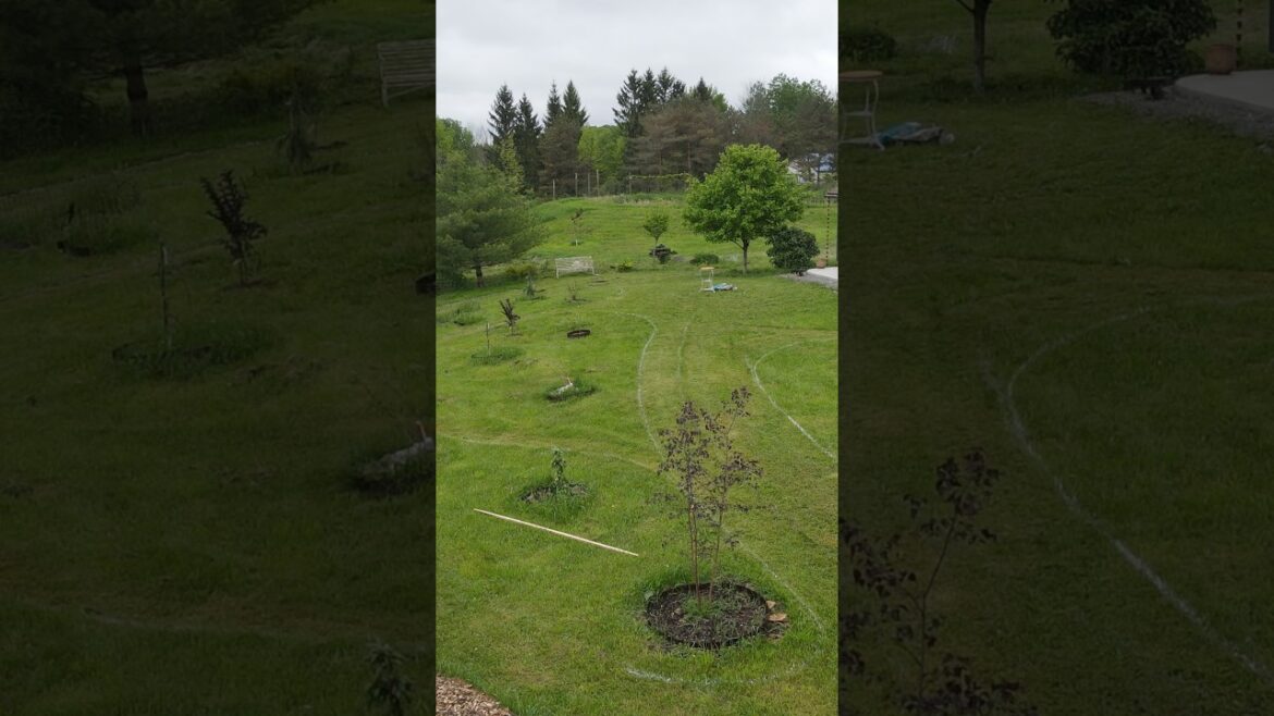 1/8 Acre Lawn-to-Garden Conversion: Our Plan #garden #gardendesign 1/8 Acre Lawn-to-Garden Conversion: Our Plan #garden #gardendesign
