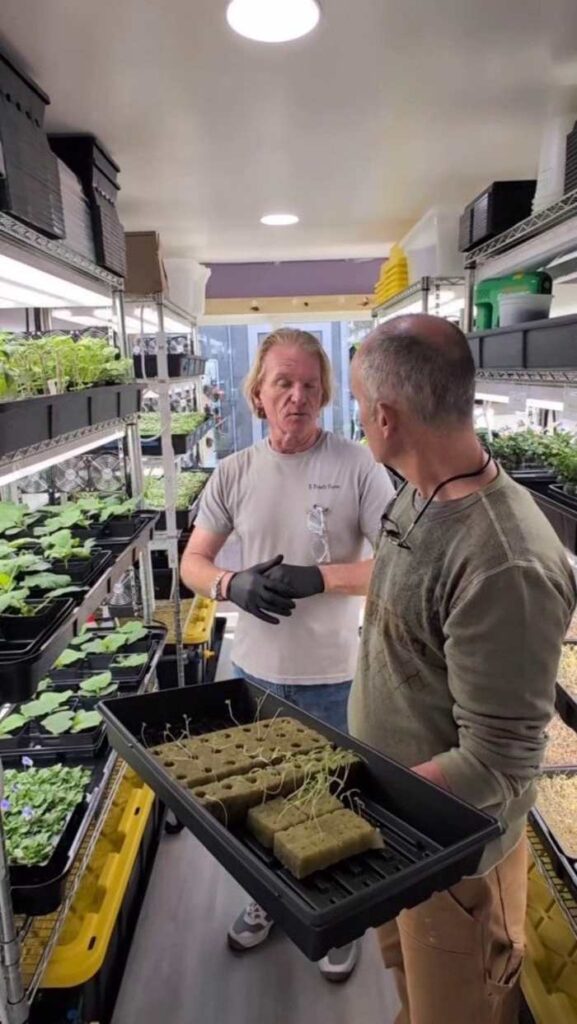 Time to get some green in my garden. Expert advice from Five Points