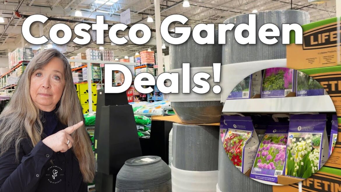 Costco Garden Bargains and Home Depot for Seeds! Costco Garden Bargains and Home Depot for Seeds!