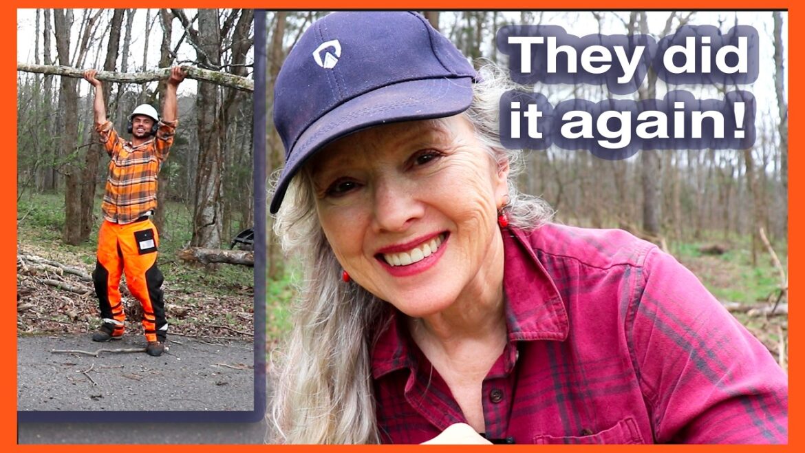 Kaye Kittrell: I was HOLDING MY BREATH! Tree climbing, MASSIVE Forest Cleanup! I was HOLDING MY BREATH! Tree climbing, MASSIVE Forest Cleanup!