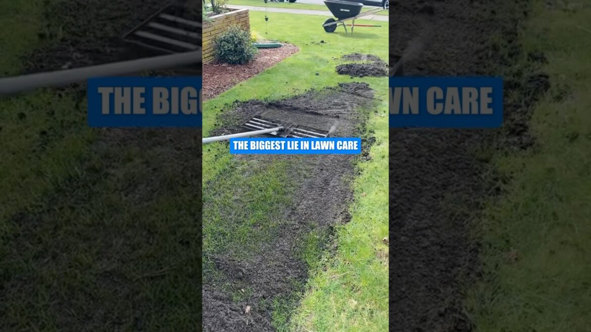 Stop Using Sand! The Right Way to Level Your Lawn 🌱 (Topsoil Wins) #shorts Stop Using Sand! The Right Way to Level Your Lawn 🌱 (Topsoil Wins) #shorts