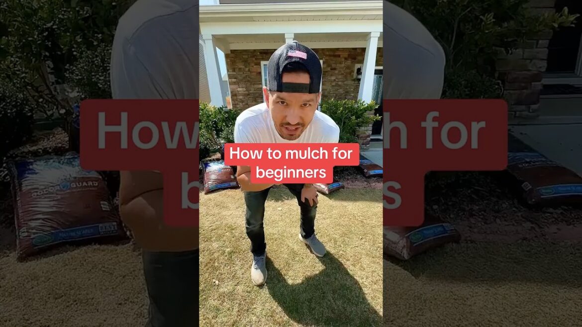 How to mulch for beginners