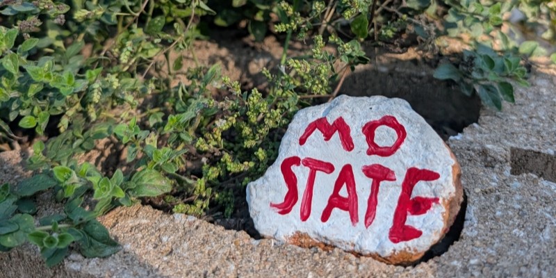 Digging into the campus garden – News Digging into the campus garden - News