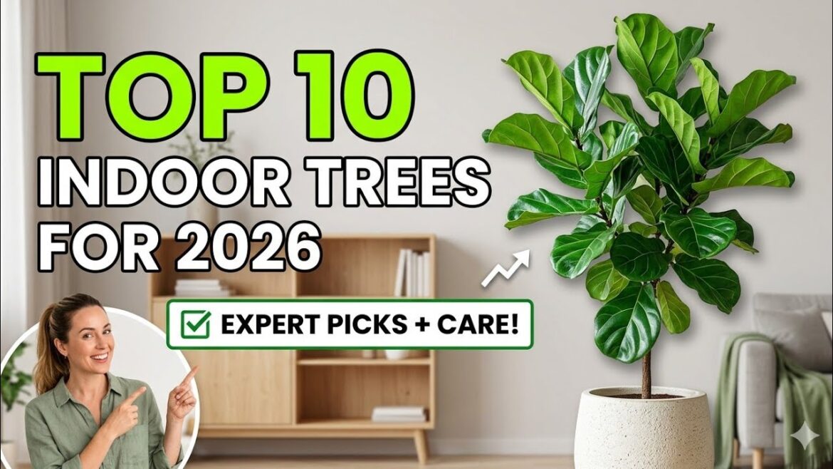 "The 2026 Indoor Tree Guide: Top 10 Picks for Every Home"