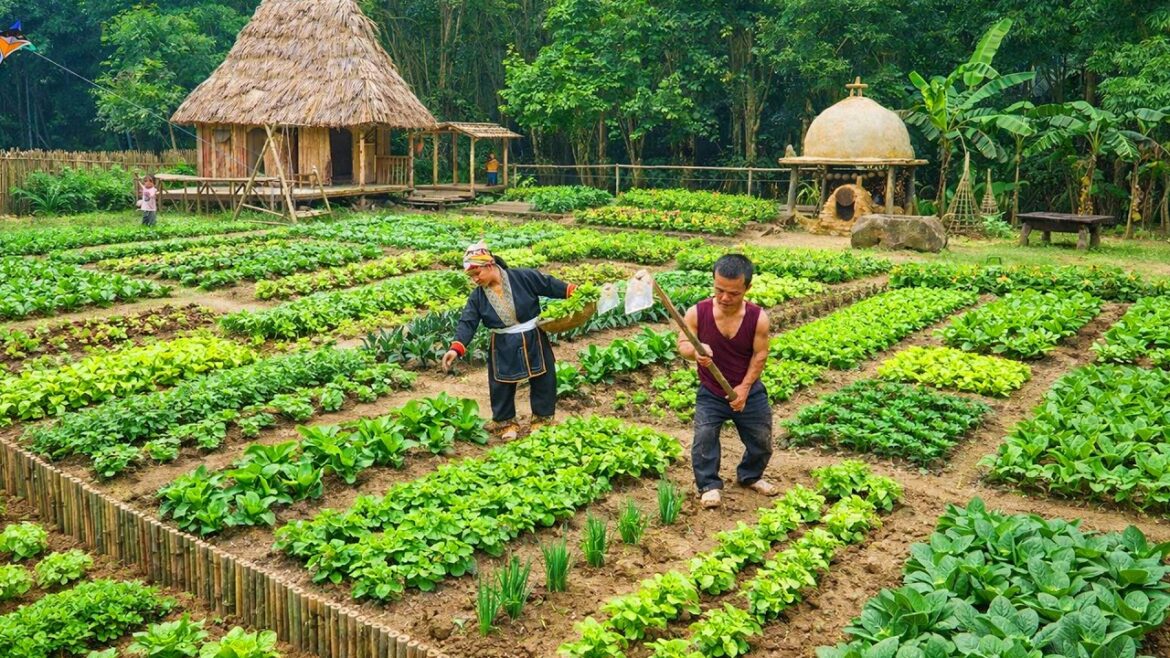 Dwarf Family Bushcraft: Rebuilding the Vegetable Garden & Making a Swing Dwarf Family Bushcraft: Rebuilding the Vegetable Garden & Making a Swing