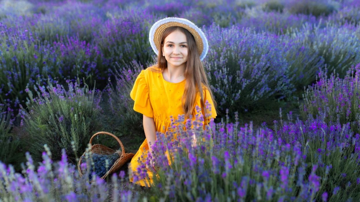 Beautiful young girl in straw boater hat and a yellow dress collects lavender on lavender field. Portrait cheerful child girl sits in the middle of lavender bushes. Provence, France.
