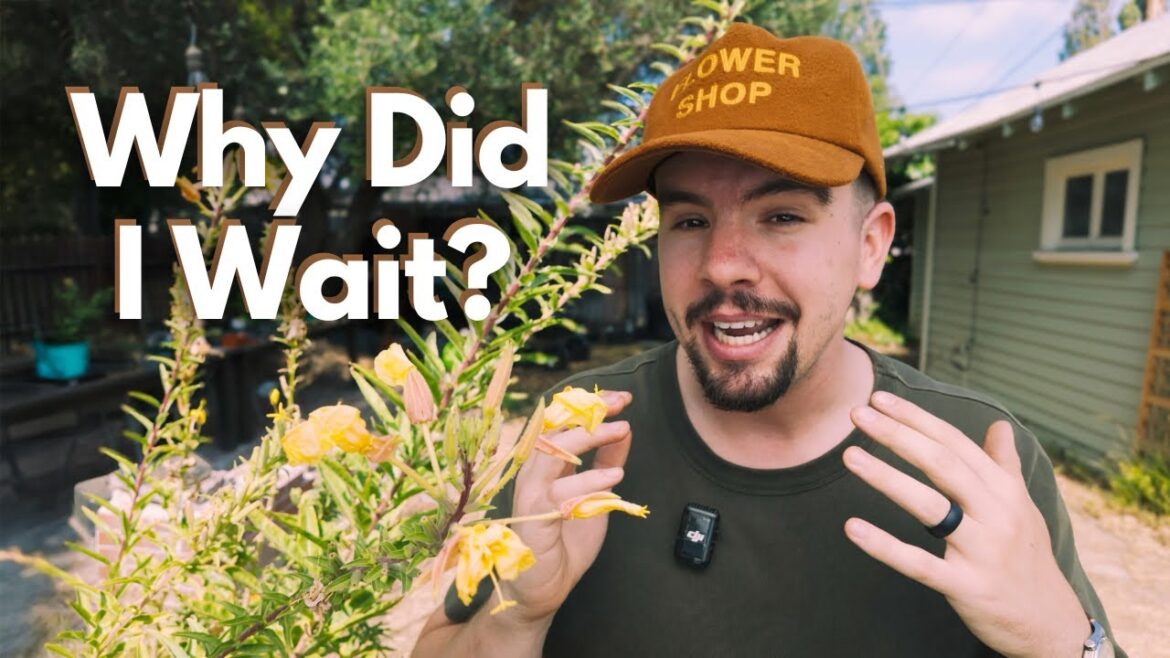 4 ESSENTIAL Garden Tools You Need On Day One