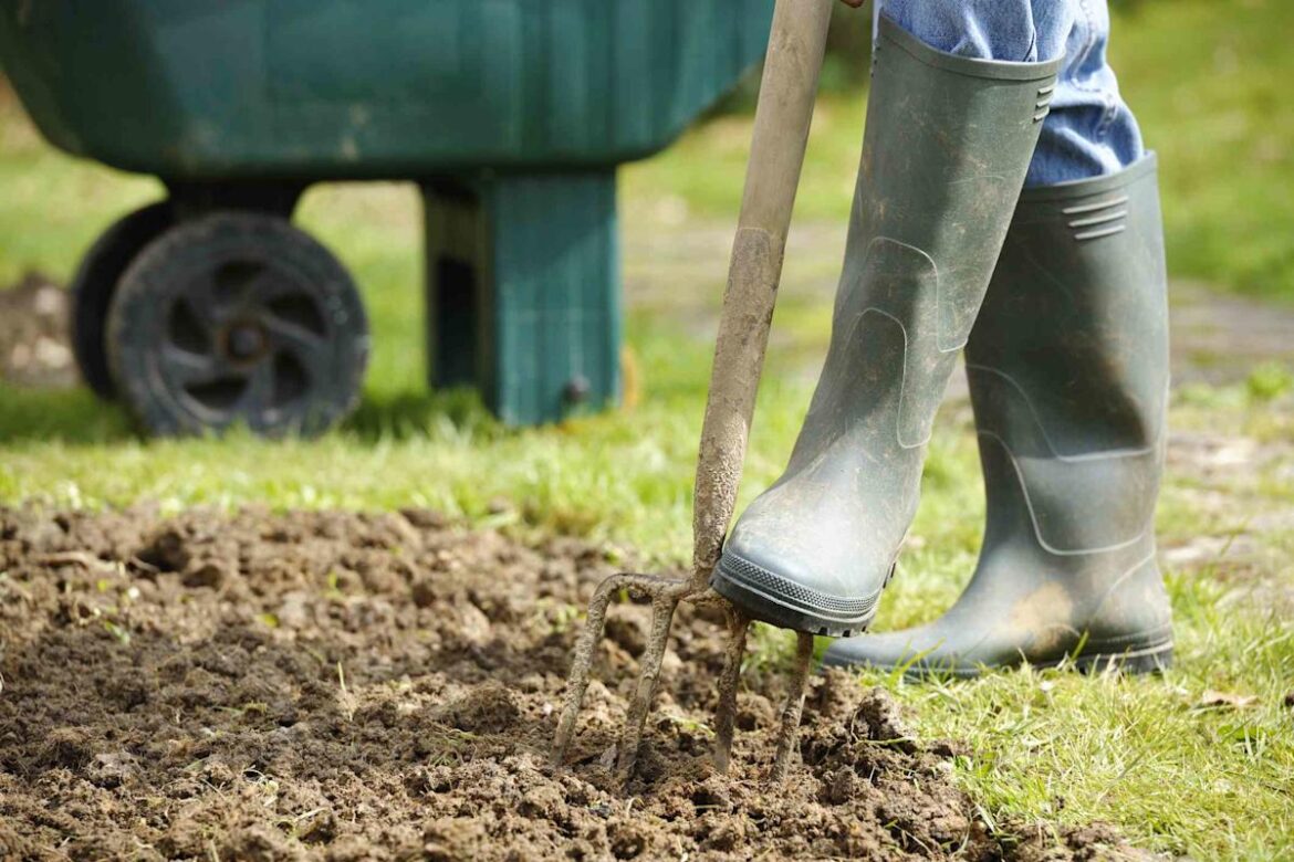 These Early Spring Soil Clues Mean Your Garden Still Isn’t Ready for Planting The Spruce