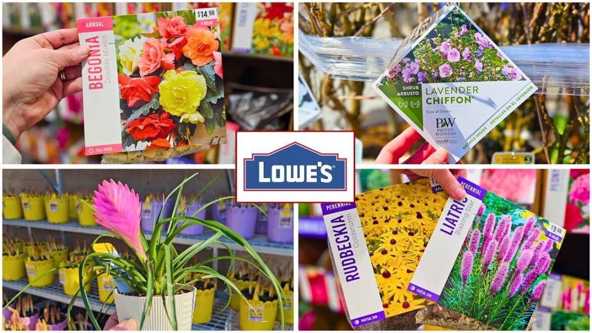 New at Lowe’s Garden Center | March 2026 Spring Plant Arrivals New at Lowe’s Garden Center | March 2026 Spring Plant Arrivals