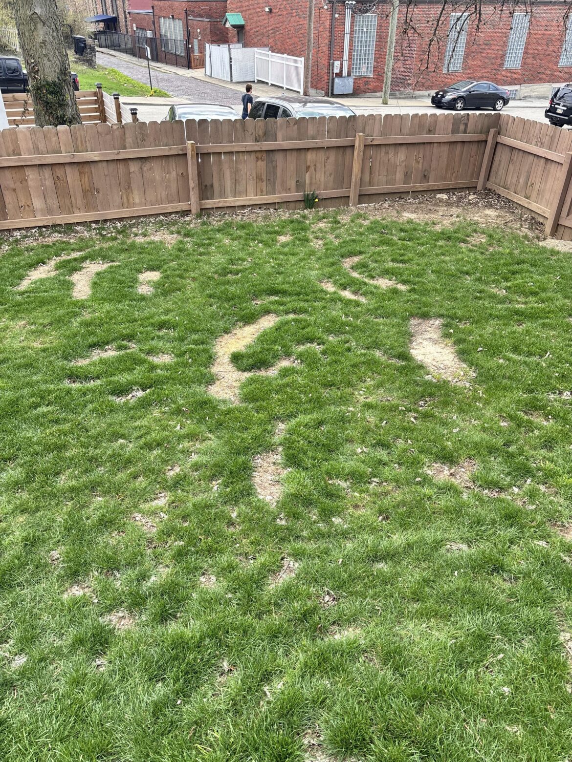 Need suggestions! Cincy OH