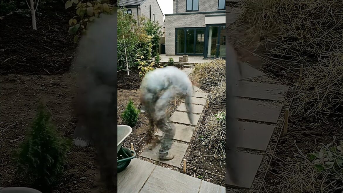 Elegant Garden Landscape Transformation #timelapse #home #mybackyardgarden #asmr #backyard