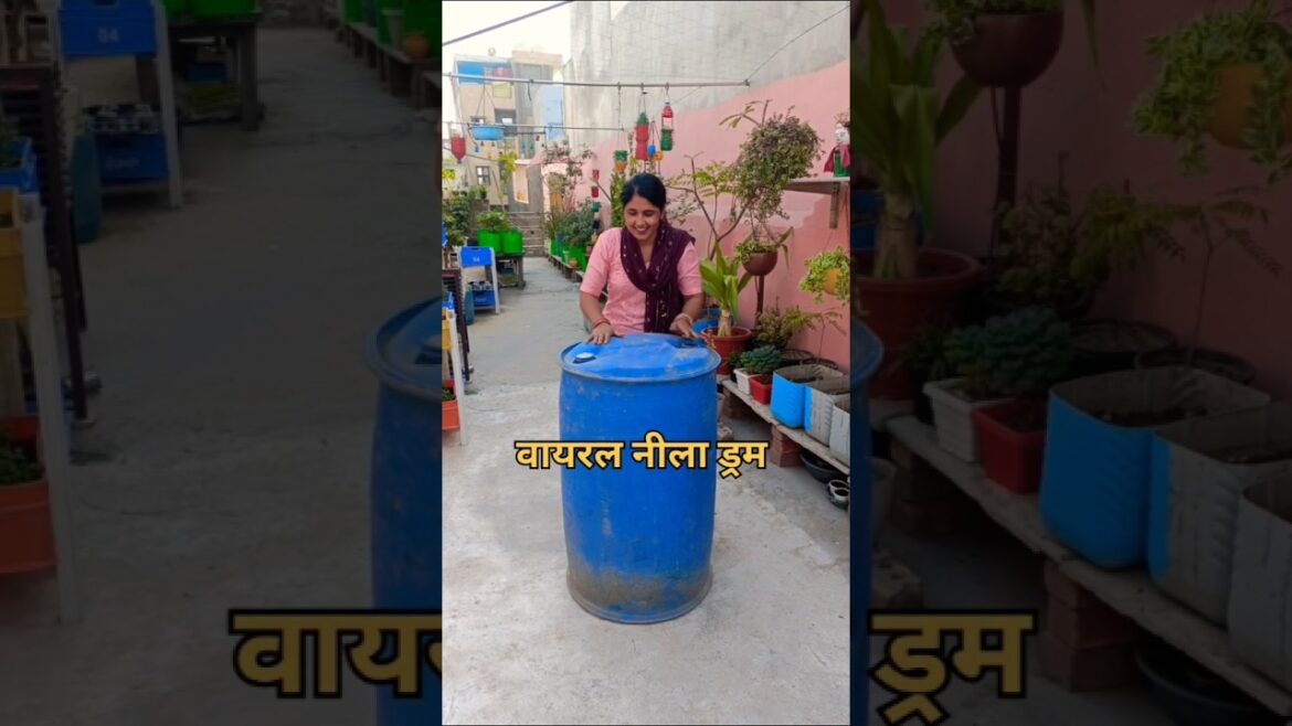 वायरल नील ड्रम से बनाएं पॉट 🥳😳😱#poojagarden #youtube #shorts #ytshorts