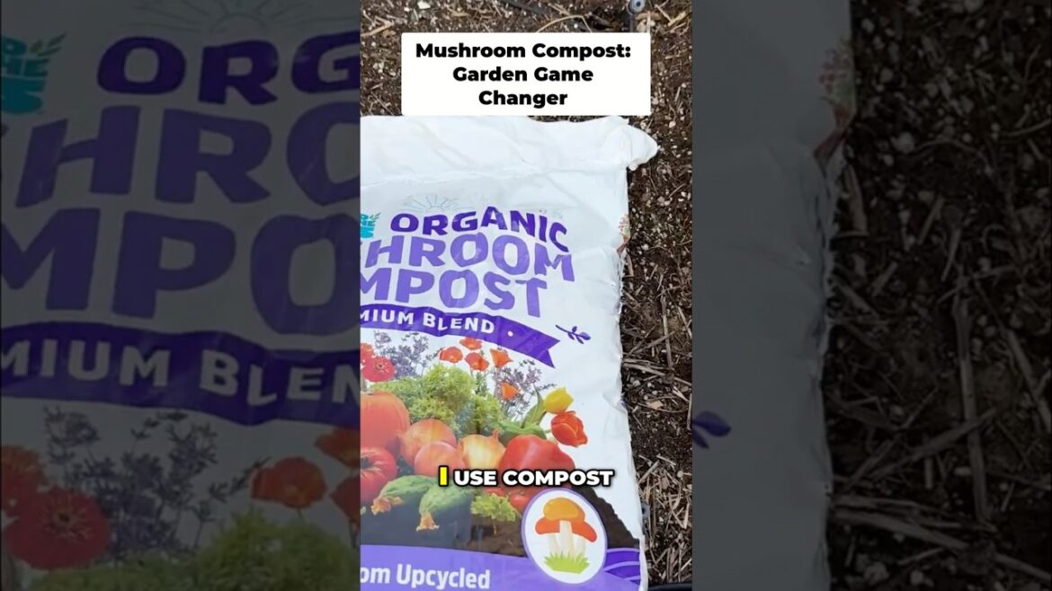 The BEST Bagged Compost for Your Garden Revealed! 🏆