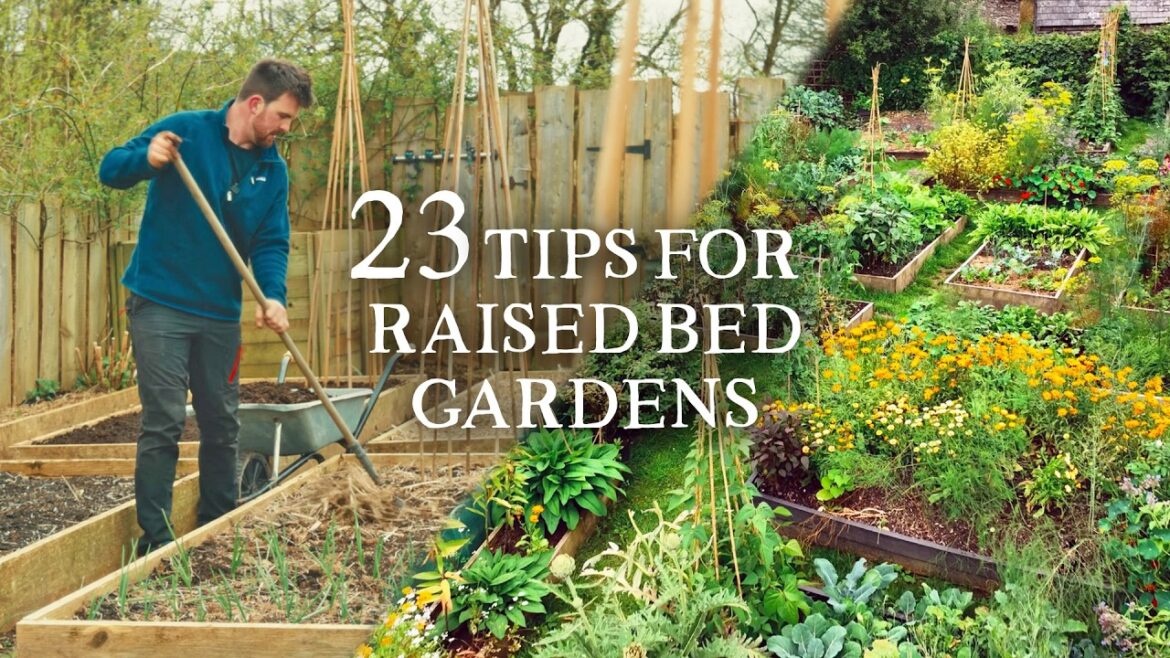 Huw Richards: 23 Raised Bed Gardening Tips I Wish I Knew Sooner 23 Raised Bed Gardening Tips I Wish I Knew Sooner