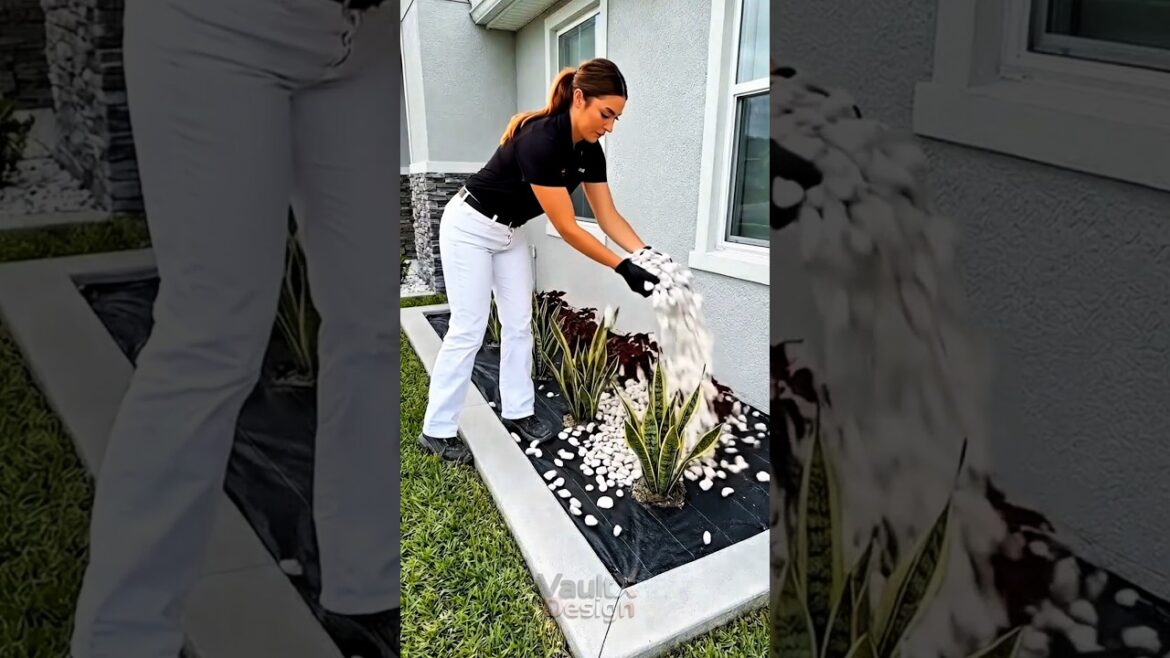 Most Satisfying Landscaping Timelapse You'll Ever See! #shorts #backyard #timelapse