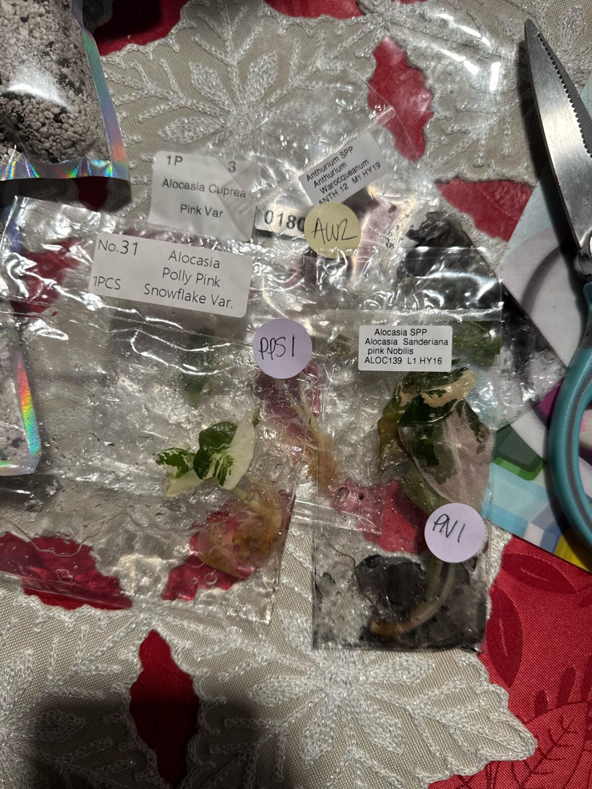 Tissue culture mail