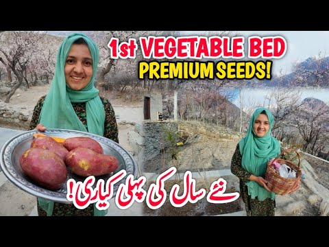Growing Methhi & Carrots in Home Front Yard using Premium Seeds✅🏡| Organic Farming Village Vlog🌽🤩 Growing Methhi & Carrots in Home Front Yard using Premium Seeds✅🏡| Organic Farming Village Vlog🌽🤩