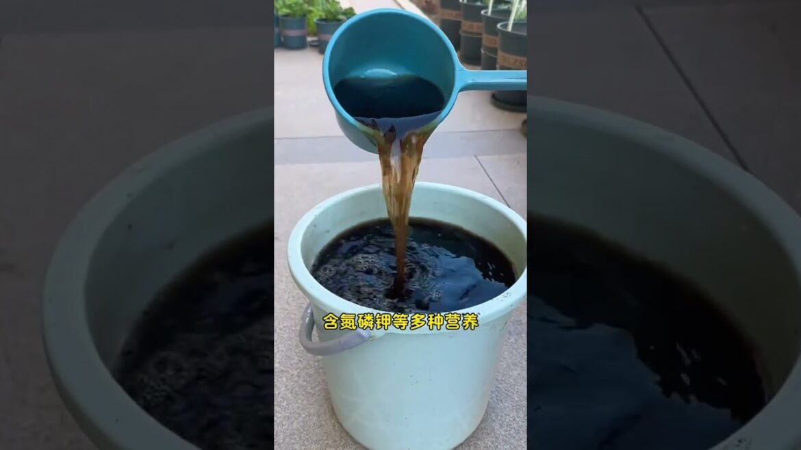 Long-Lasting Root-Friendly Organic Fertilizer for Veggies - Perfect for Your Garden