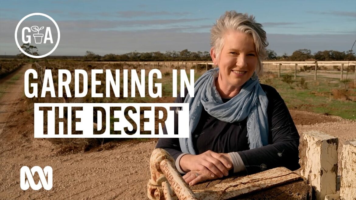 Sophie’s New Desert Garden | Discovery | Gardening Australia Sophie's New Desert Garden | Discovery | Gardening Australia