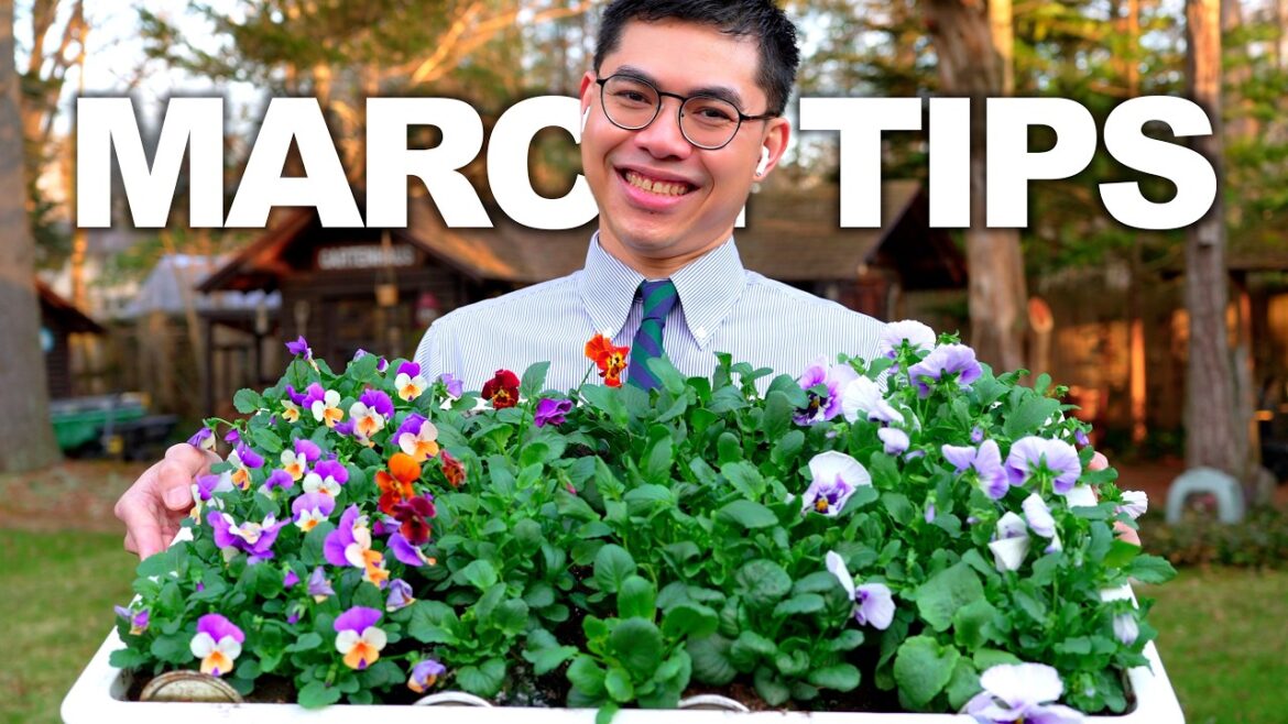 Seedling Care to Grow Stronger + March Gardening Tips Seedling Care to Grow Stronger + March Gardening Tips