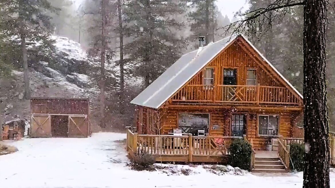 Snow at the Cabin. Survival Water & Preparing for Spring.