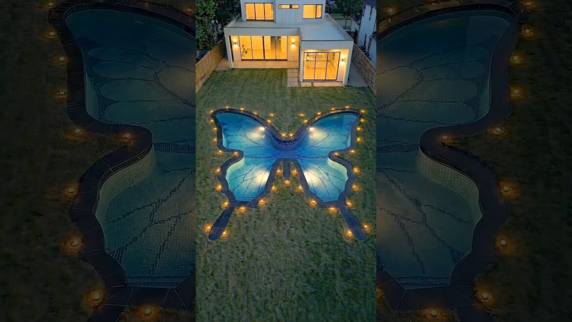 I Built a Giant Butterfly Swimming Pool in My Garden