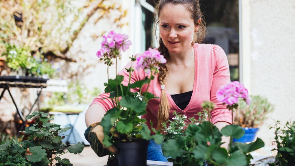 Gardeners urged to plant tall flower before March ends to add colour to borders Daily Mirror