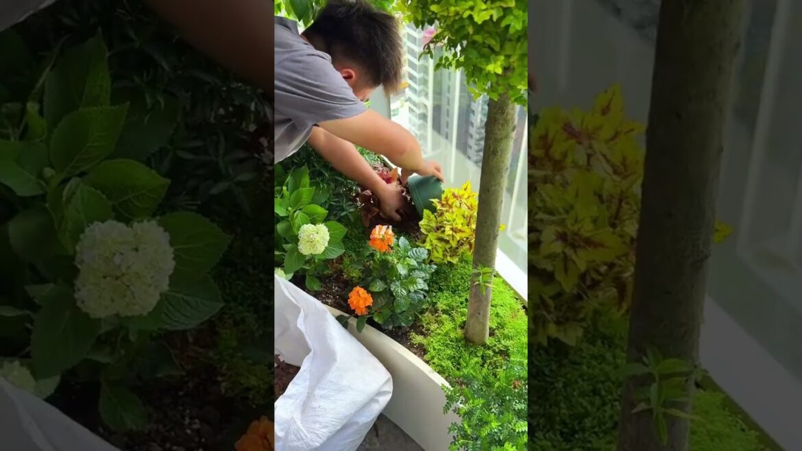 Transform your balcony into a garden #SpaceDesign #gardendesign #garden #plants