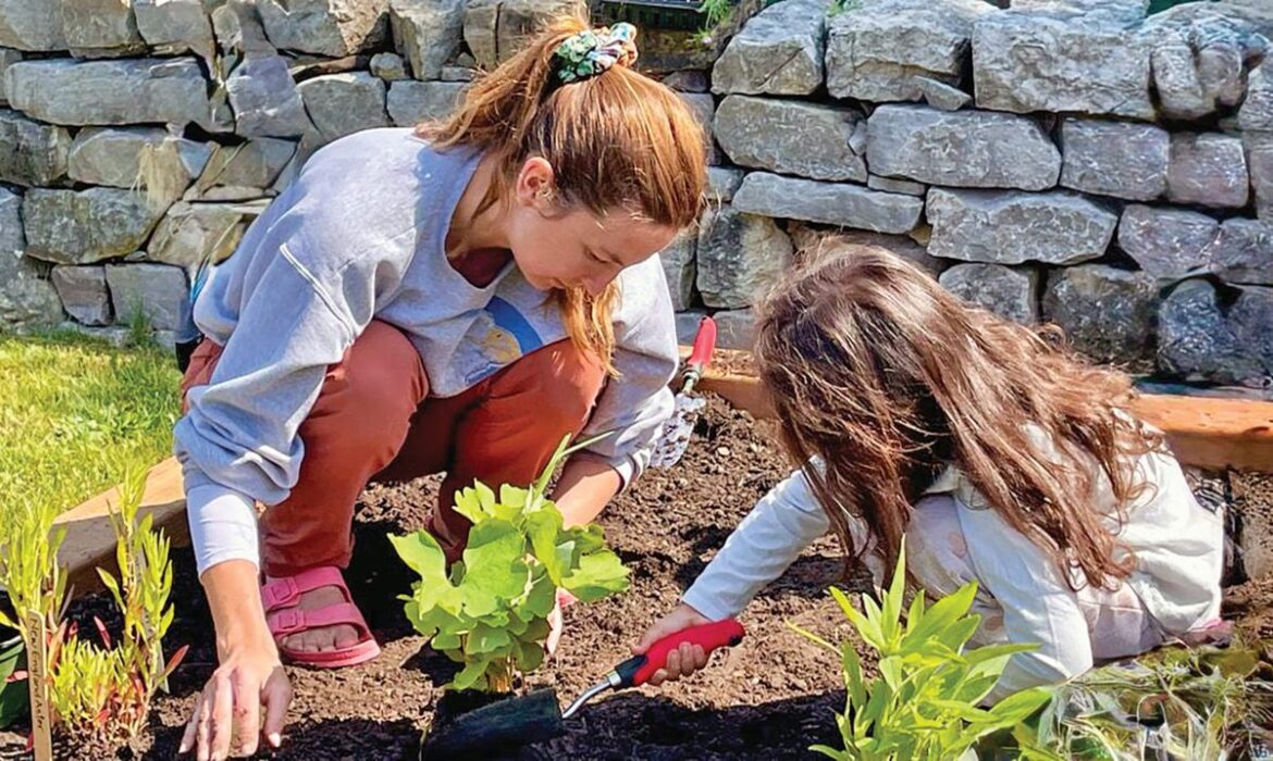 AVA receives full funding for Alton Village Square Community Gardens and ButterflyWay project | Caledon Citizen AVA receives full funding for Alton Village Square Community Gardens and ButterflyWay project | Caledon Citizen
