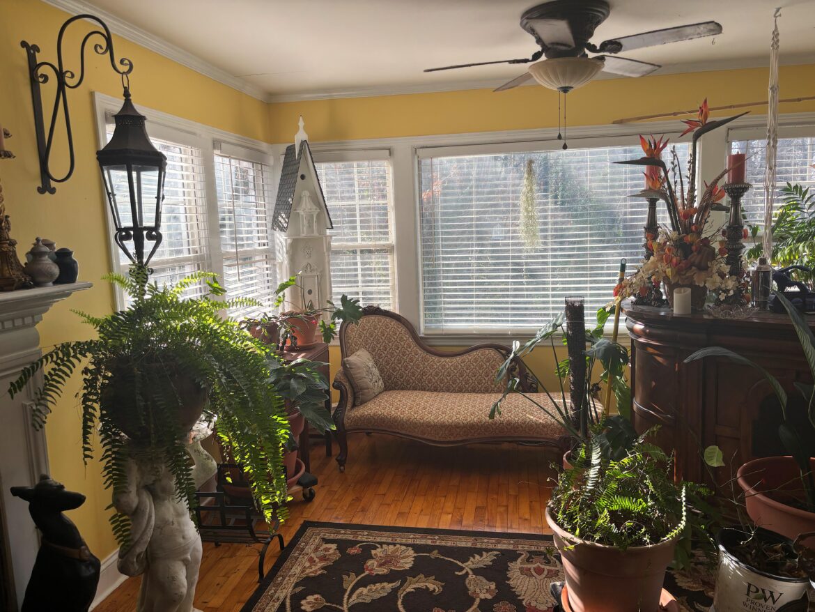 Starting my plant jungle!