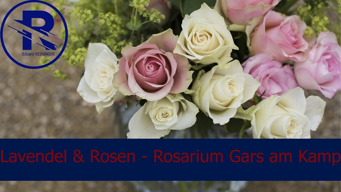 Rosarium & Lustgarten – Lavendel & Rosen Gars am Kamp Rosarium & Lustgarten - Lavendel & Rosen Gars am Kamp