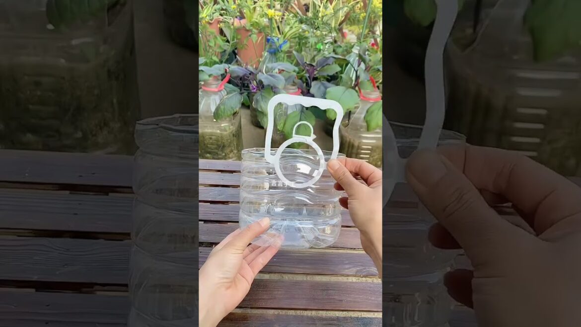 Upcycle Waste Bottles into Veggie Planters: Eco-Friendly Gardening Upcycle Waste Bottles into Veggie Planters: Eco-Friendly Gardening