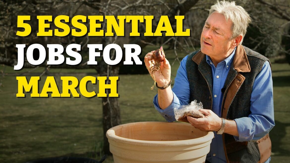 5 Gardening Jobs You Must Do This March! 5 Gardening Jobs You Must Do This March!