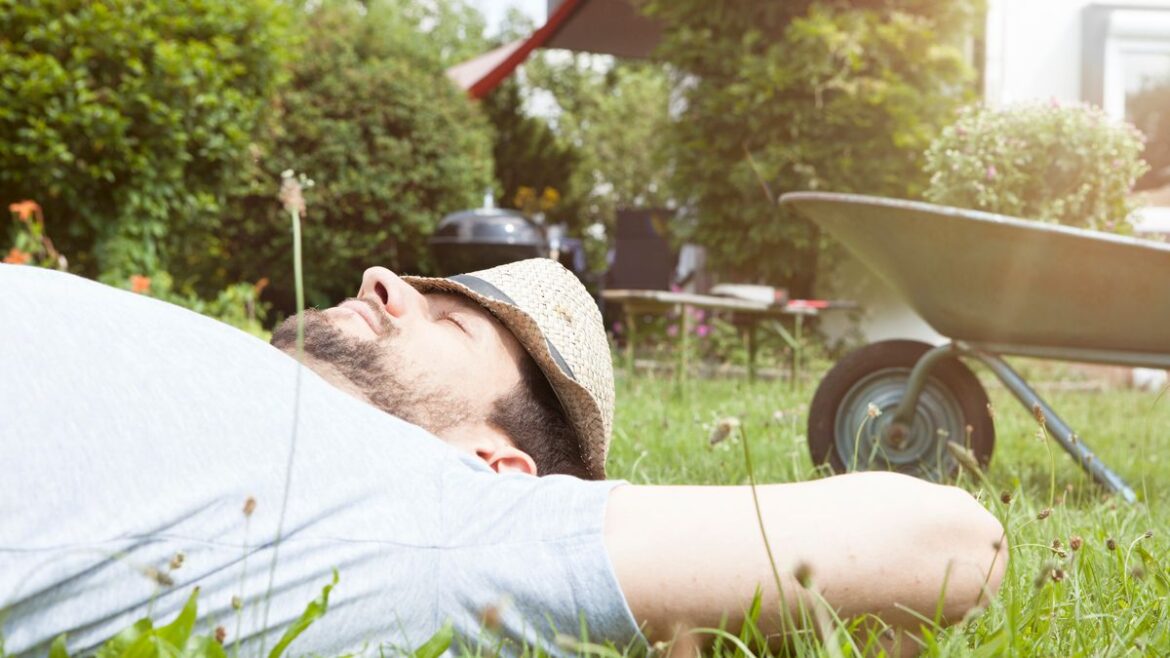 Why ‘lazy gardening’ could be the smarter way to care for your outdoor spaces this spring Daily Record