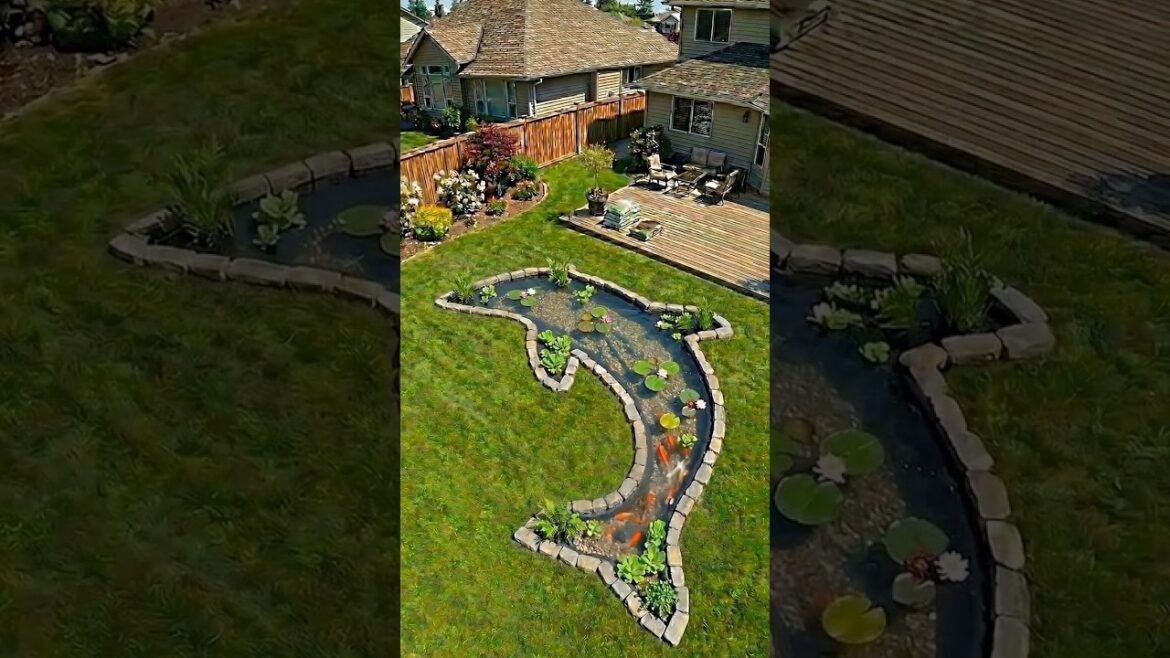I built a giant DOLPHIN Koi Pond in my front yard! 🐬✨ I built a giant DOLPHIN Koi Pond in my front yard! 🐬✨