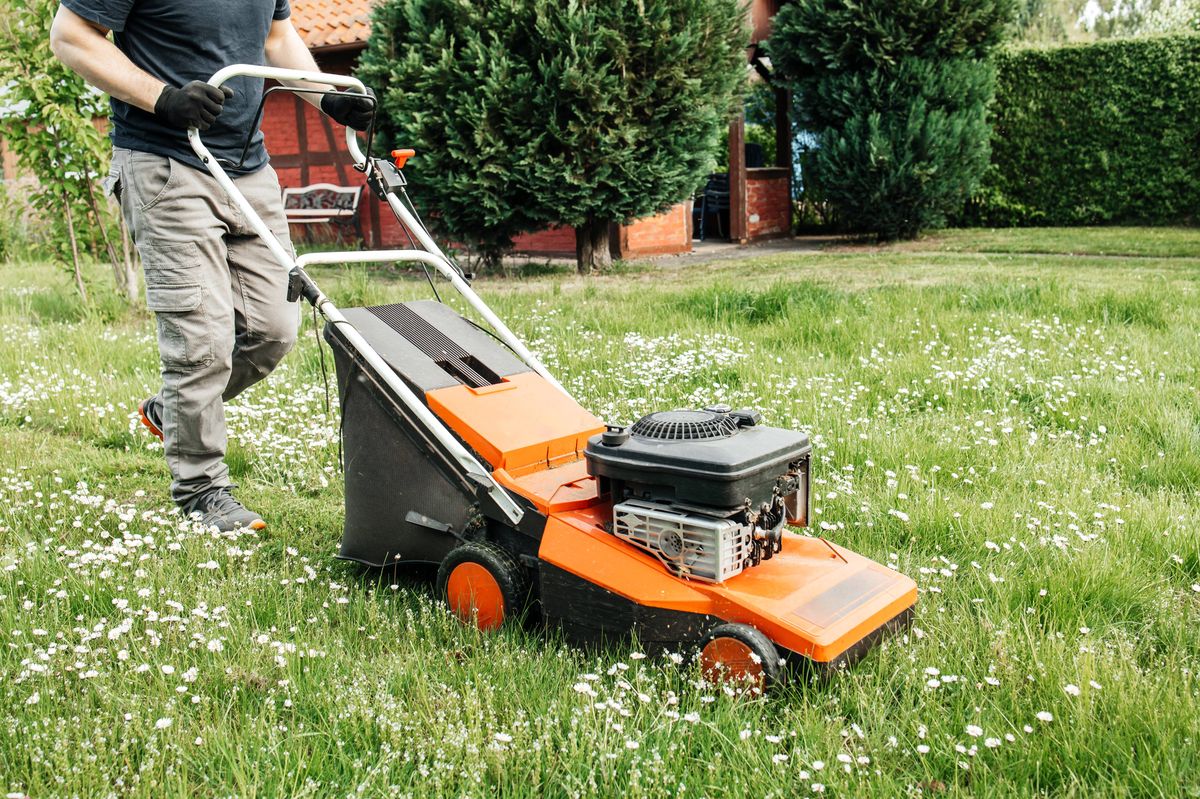 A man mows the grass with an electric lawn mower