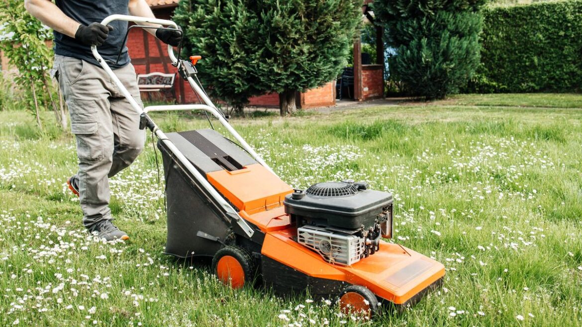 Monty Don shares March lawn care task that makes grass thicker and ‘healthier’ than ever Daily Mirror
