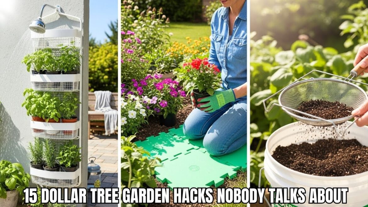 15 Dollar Tree Garden Hacks NOBODY Talks About In 2025 | Transform Your Garden