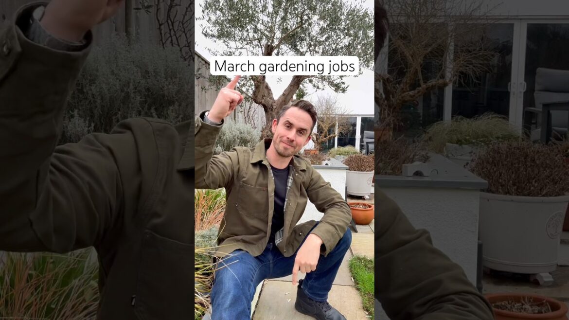 Gardening jobs for March #garden #gardeningtips