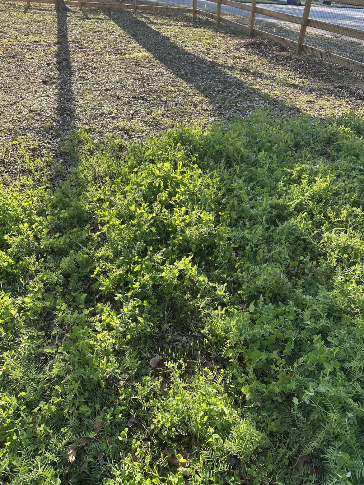 Can you tell where I ran out of cover crop seeds?