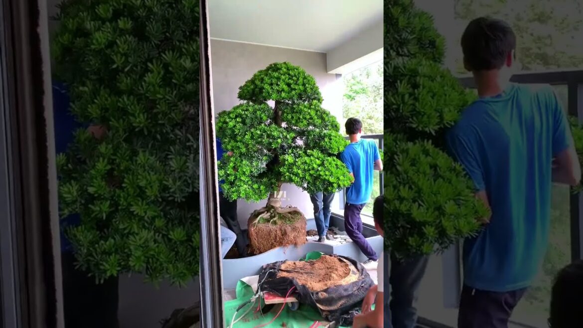 A balcony is perfect for creating a garden  #SpaceDesign #gardendesign #garden #plants