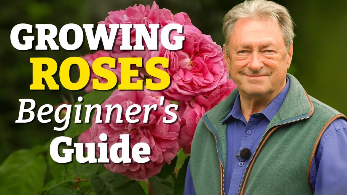Growing Roses Made Easy: The Beginner’s Guide to a Gorgeous Garden Growing Roses Made Easy: The Beginner’s Guide to a Gorgeous Garden