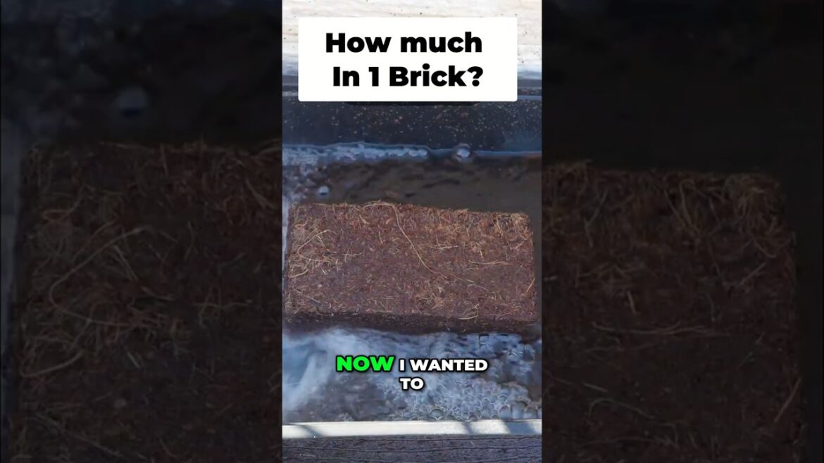 Coconut Coir Expansion: How Much Soil from One Brick? 🥥