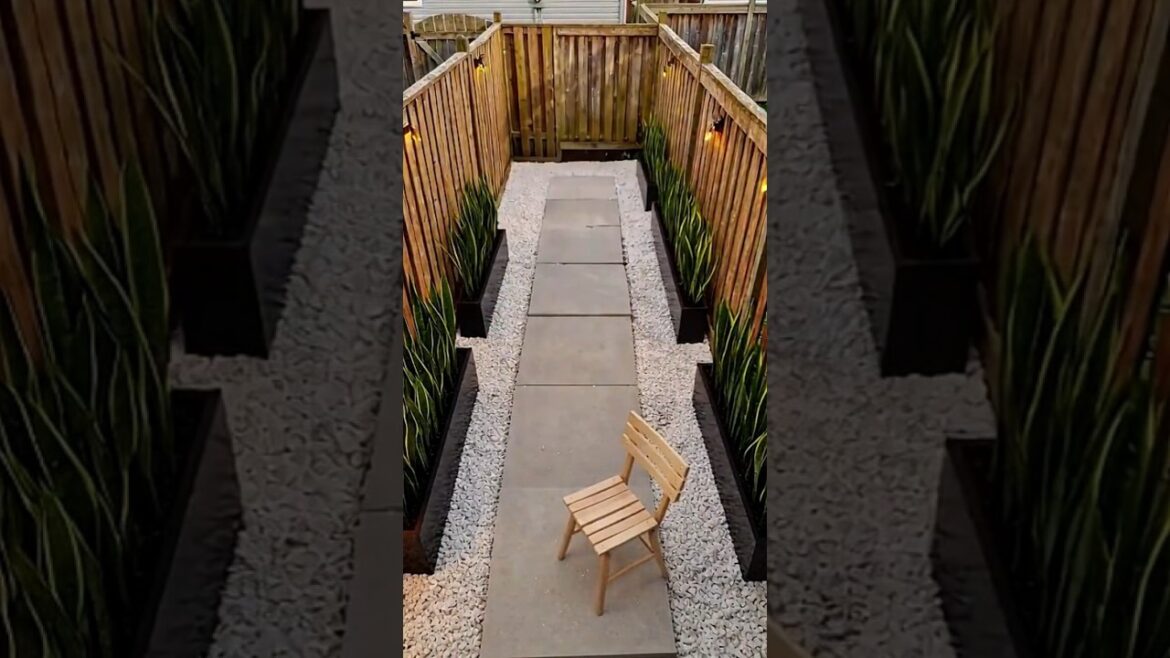 I fixed this forgotten, overgrown yard completely by myself