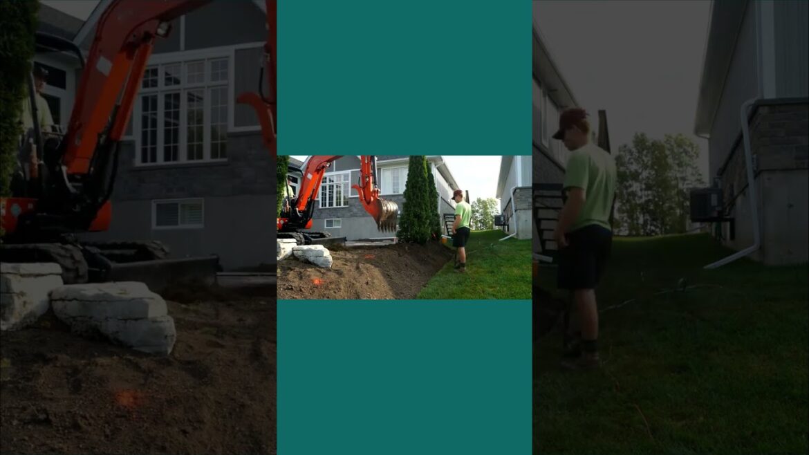 Backyard Landscape Timelapse #shorts
