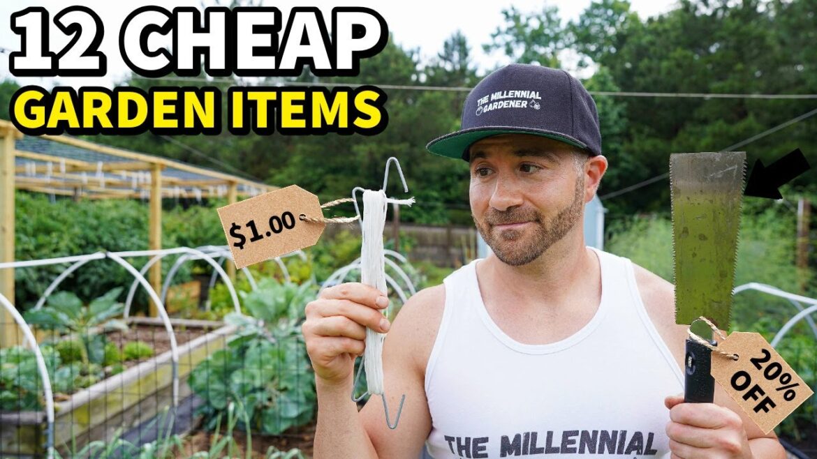 12 CHEAP Purchases That Actually Improved My Garden 12 CHEAP Purchases That Actually Improved My Garden